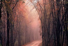 蓝鲸体育官网：[国际足球]吉拉西短传送助攻 米洛重炮折射入门.