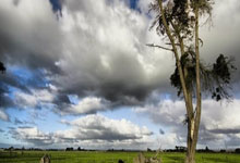 蓝鲸体育官网：伊布：感染病毒瘦了三公斤 现在好了 我的职责是全方位支持俱乐部.