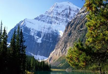 布里斯班国际赛 乔科维奇轻松闯八强.