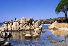 布里斯班国际赛 乔科维奇轻松闯八强.